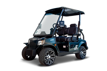 Tomberlin Golf Cart for Sale